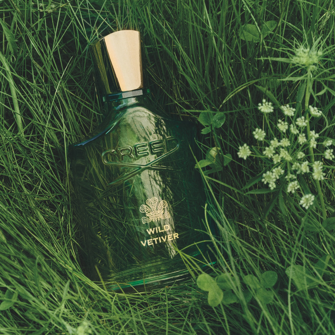Wild Vetiver